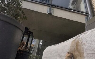 Mój sąsiad z góry dwa razy dziennie rzucał zużyte torebki herbaty na mój balkon – postanowiłam więc nauczyć go, co to znaczy szanować czyjś dom.