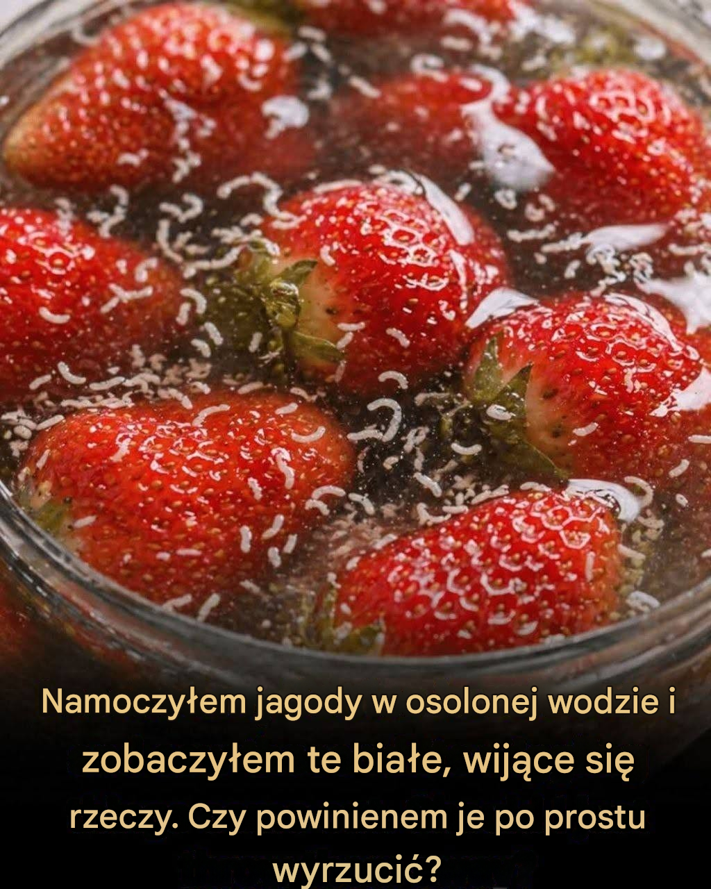 Dlaczego w truskawkach pojawiają się małe białe robaki i co powinieneś z nimi zrobić?