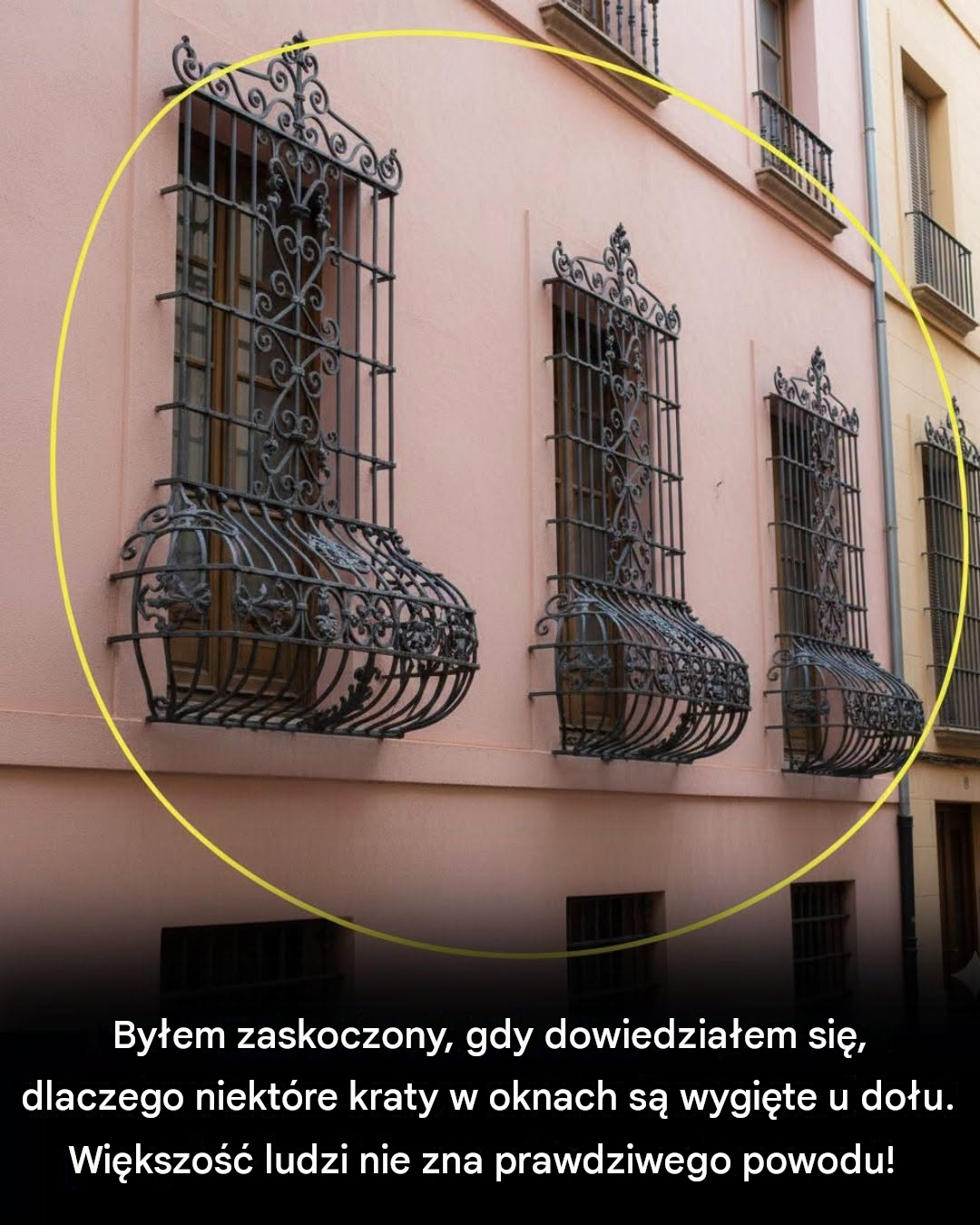 Na tym zdjęciu kryje się więcej, niż mogłoby się wydawać na pierwszy rzut oka...